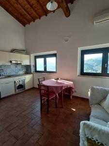 鲁菲娜Agriturismo La Fontaccia的厨房以及带桌子和沙发的客厅。