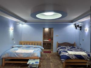SekenaniLuluka Guest House的一间带两张床的卧室和大型天花板