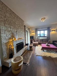 埃普塔罗弗斯Mountain House Eptalofos的客厅设有壁炉和沙发。