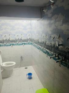 瓦拉纳西Maa Gayatri Dormitory的设有带卫生间的浴室,墙上有鸟类。