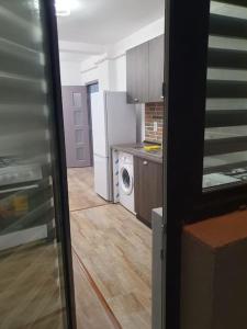 PreajbaSkyView Lofts-Enjoy the view的厨房配有冰箱和洗衣机。