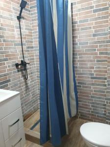 PreajbaSkyView Lofts-Enjoy the view的浴室内配有蓝色淋浴帘