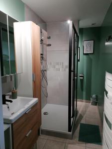 法莱斯La maison Saint-Gervais的带淋浴和盥洗盆的浴室