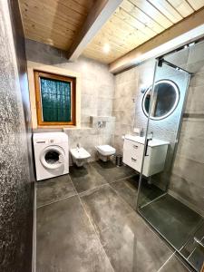 KamesznicaHighlander - drewniany dom w Beskidach的一间带洗衣机和洗衣机的浴室