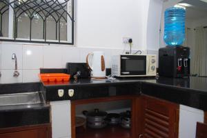 姆特瓦帕皇家棕榈瓦帕公寓的厨房柜台设有水槽和微波炉