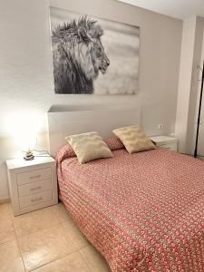 拉拉古纳Céntrico apartamento de 2 dormitorios en La Laguna的卧室配有一张床,还展示了狮子的照片