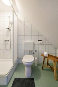 西格利盖特Sarki-ház的一间带卫生间和淋浴的浴室
