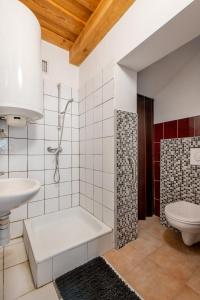 西格利盖特Sarki-ház的带淋浴、盥洗盆和卫生间的浴室