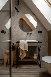 扎科帕内Owce Dwie的一间带水槽和镜子的浴室