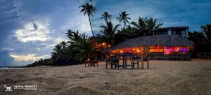 坦加拉The Alpha Monkey hotel & Tree house的海滩上的餐厅,配有桌椅