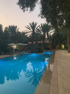 塔鲁丹特Riad le Jasmin的一座种植了棕榈树的蓝色游泳池