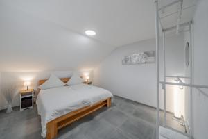 莱茵豪森La Piazza-Rheinhausen的一间卧室设有一张床和一个玻璃淋浴间