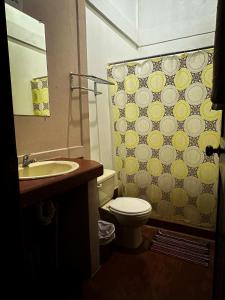 希门尼斯港Cabinas Tropicales的一间带卫生间和淋浴帘的浴室