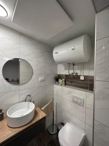 克拉尼斯卡戈拉Apartma Studio Jana的一间带水槽、卫生间和镜子的浴室