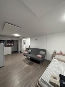 克拉尼斯卡戈拉Apartma Studio Jana的一间带两张床和一张沙发的客厅