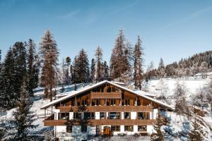 奥贝雷根Hotel Mont Floris Obereggen的雪 ⁇ 山上的大木屋