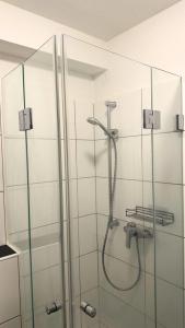 杜伊斯堡Modern Studio - perfect location的浴室里设有玻璃门淋浴