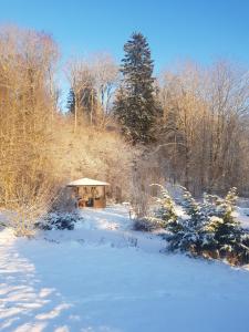 坎达瓦Čapuliši的覆盖着树木的雪地凉亭