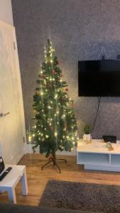 梅德斯通Homes from home by Tulloch Properties的客厅里一棵带灯的圣诞树
