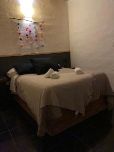 圣拉斐尔San Julián的一间卧室配有一张带围墙的床铺,墙上有钉子