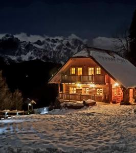 索尔察瓦Holiday chalet "Alpine dreams"的雪中的一个小木屋