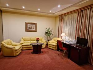 考纳斯Hotel Sfinksas的客厅配有沙发和桌椅