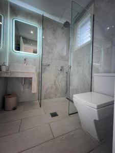 普莱诺斯Trenta Nove Studios的带淋浴、卫生间和盥洗盆的浴室