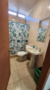兰卡瓜Residencial F y V Spa的一间带卫生间和水槽的浴室