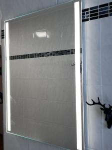 伦茨基希Schwarzwald-Blick Lenzkirch-Saig的浴室里设有玻璃门淋浴