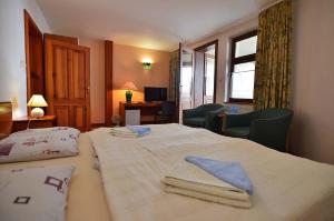 维内Hotel-EuroPenzión Salaš的酒店客房,配有带毛巾的床