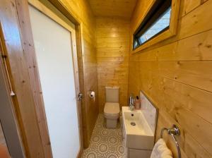 KircubbinHorse Island View Luxury Retreat的一间带卫生间和水槽的小浴室