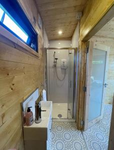 KircubbinHorse Island View Luxury Retreat的带淋浴和白色盥洗盆的浴室