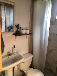 弗鲁蒂亚尔Tiny House, Tiny Black Frutillar的一间带卫生间、水槽和镜子的浴室