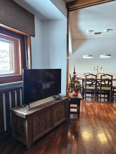 布勒伊-切尔维尼亚Cervino 1865 - Family House的客厅配有平面电视和圣诞树。