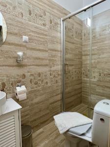 克卢日-纳波卡Homeland Center Cluj的带淋浴和卫生间的浴室