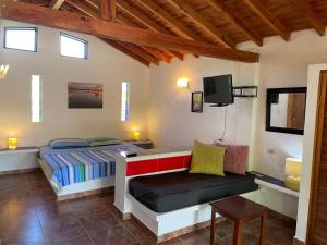 El CardónVilla Cocuyo - Studios & Apartments的一间卧室配有一张床、一把椅子和电视。