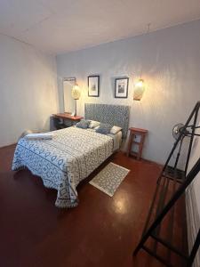 伊基托斯Otorongo Guest House的一间卧室配有一张带蓝白色毯子的床