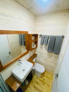 皮奇勒姆Forest house Cabaña para 2的一间带卫生间和水槽的小浴室