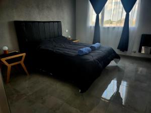 内科切阿F&E Apartment的一间卧室配有一张带蓝色枕头的床。