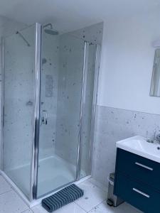 肯梅尔Bill's Barns Apartment 2的一个带盥洗盆的浴室内的淋浴间