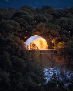 NogalZia Geo Dome At El Mistico Ranch, Glamping的森林中间的圆顶建筑