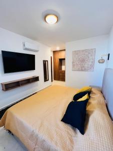 GuadalupeTorre Riviera veracruzana的一间卧室配有一张大床和一台平面电视