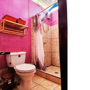 博卡斯德尔托罗Poetry Garden Bocas Town Colon Island- Deluxe Bungalow Cabin-AC-Enjoy the Night Life的粉红色的浴室设有卫生间和淋浴。