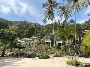 班泰Apsara & Dragon’s Supra Wellness Resort的棕榈树海滩上的一排房子