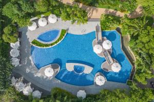 宿务Radisson Blu Cebu的享有带遮阳伞的游泳池的顶部景致
