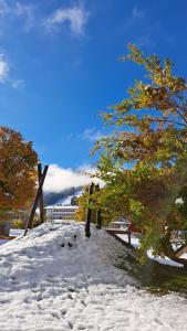 弗拉绍Phantasia的一座有栅栏和树木的雪覆盖的山丘