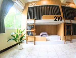 卡伦海滩KPOP Hostel的一间设有双层床和盆栽的房间