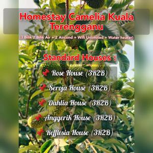 瓜拉丁加奴Homestay Camelia Kuala Terengganu Houses 3 Room 2 Bathroom - Near Batu Buruk Beach , Drawbridge, Pasar Payang, KTCC Mall & Hospital HSNZ的草莓农场的传单