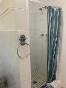 开普敦Regent Casa’s的浴室内配有蓝色淋浴帘