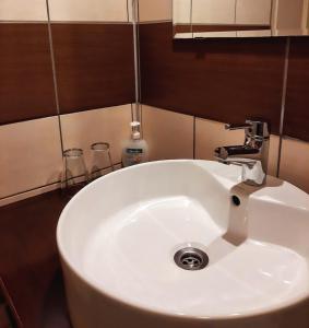 TiszaderzsTisza Lodge B&B - Panzió的浴室内设有一个白色水槽和水龙头